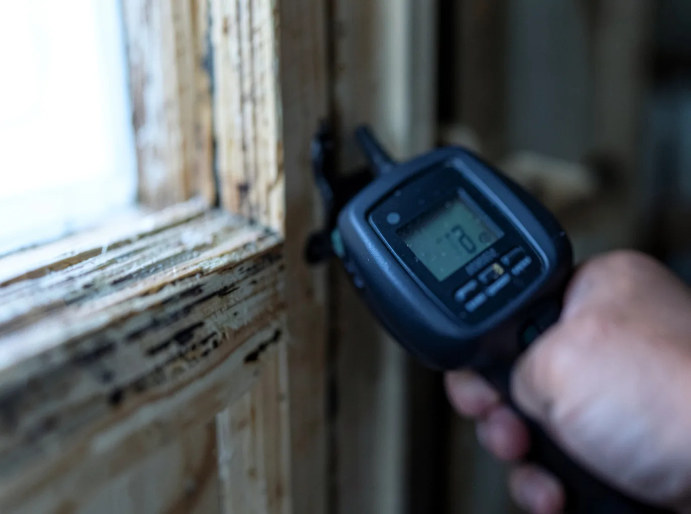Moisture Inspection And Documentation in Medina, TN